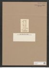 Stigmatophora lanceolata (de-Toni-Nr.: Genus 27, Species 1299) Zeichnungen Sammlung Grunow Nr. 2480 (NHMW-BOT-W0369662)